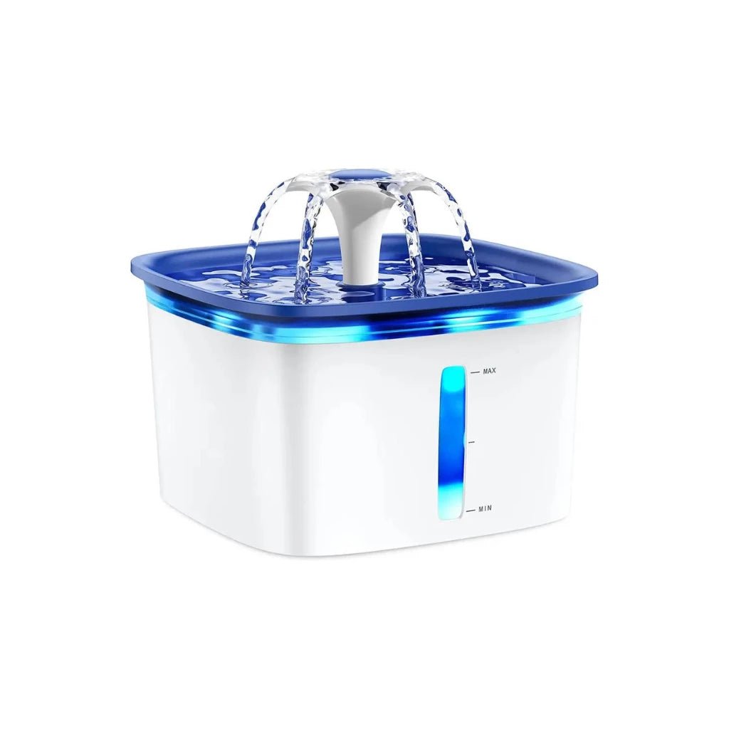 Water Fountains - RegalFeline