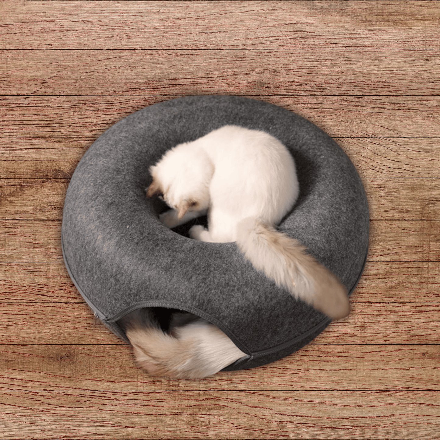 Cozy Cat Tunnel Bed